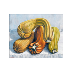 Zucche - sinfonia in giallo - olio su tela 60x50 cm.