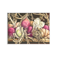 Cipolle - acquerello su carta - 56x42 cm.