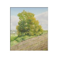 Paesaggio presso 