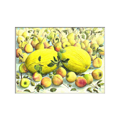 Pere e meloni - acquerello su carta 56x42 cm.